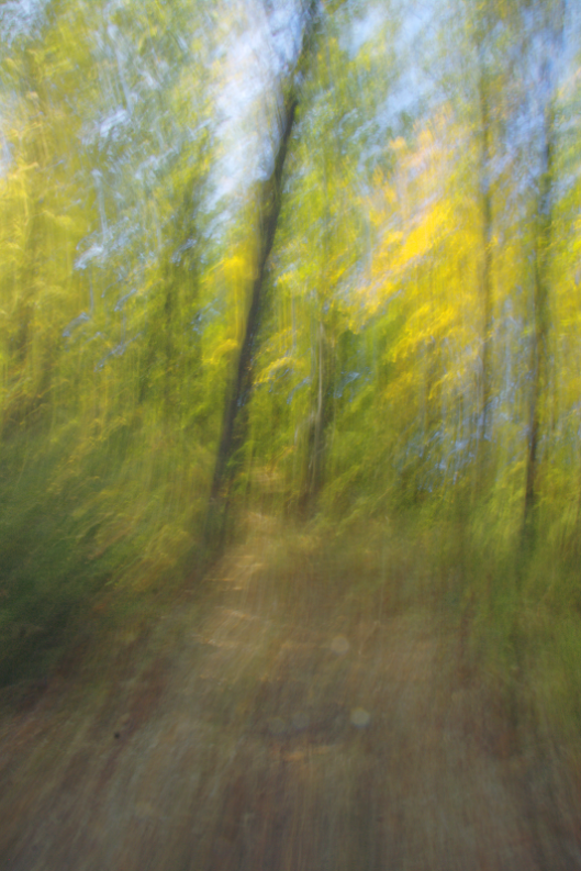 The Autumnal Lane color abstract photograph